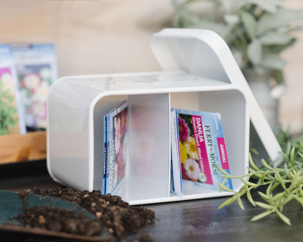 Modern SEEDS Container – Lola Creates Shop