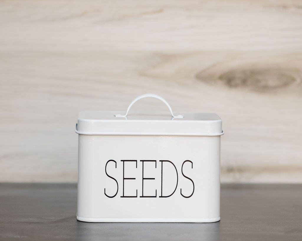 Modern SEEDS Container – Lola Creates Shop